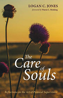 The Care Of Souls: Reflections On The Art Of Pastoral Supervision
