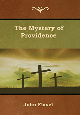 The Mystery Of Providence - 9781618954640