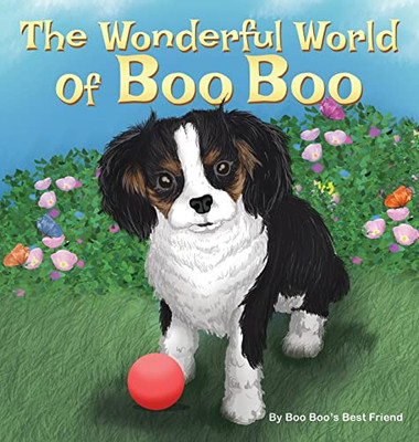 The Wonderful World Of Boo Boo - 9781633021143