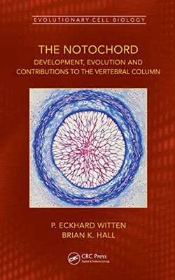 The Notochord: Development, Evolution And Contributions To The Vertebral Column (Evolutionary Cell Biology)