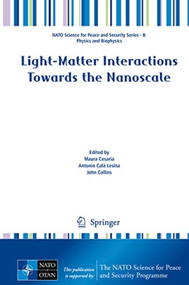 Light-Matter Interactions Towards The Nanoscale (Nato Science For Peace And Security Series B: Physics And Biophysics)