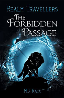 The Forbidden Passage (Realm Travellers)