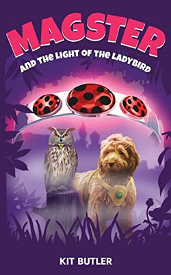 Magster And The Light Of The Ladybird