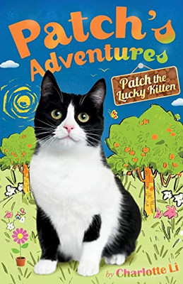 PatchS Adventures: Patch The Lucky Kitten
