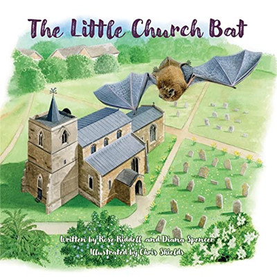 The Little Church Bat