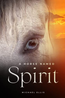 A Horse Named Spirit