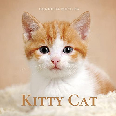 Kitty Cat: Kittens Picture Book For Dementia And Alzheimer's Patients
