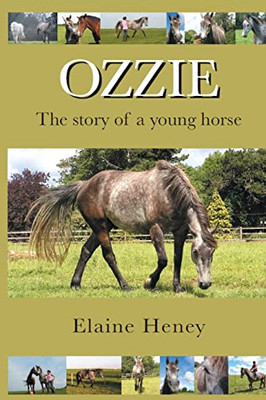 Ozzie - The Story Of A Young Horse