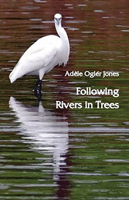 Following Rivers In Trees