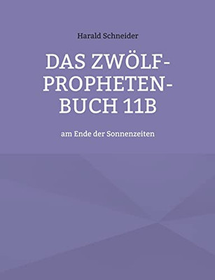 Das Zwölf-Propheten-Buch 11B: Am Ende Der Sonnenzeiten (German Edition)