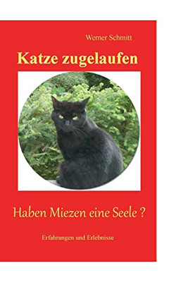 Katze Zugelaufen: Haben Miezen Eine Seele ? (German Edition)