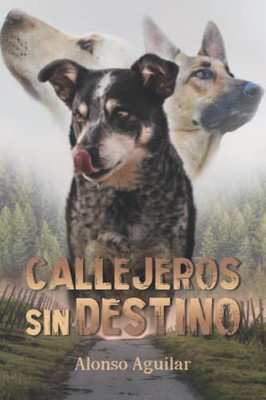 Callejeros Sin Destino (Spanish Edition)