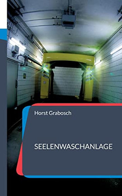 Seelenwaschanlage: Briefe Aus Der Depression (German Edition)