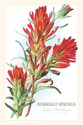 Vintage Journal Borrego Springs, Wildflowers (Pocket Sized - Found Image Press Journals)