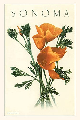 Vintage Journal California Poppies, Sonoma (Pocket Sized - Found Image Press Journals)