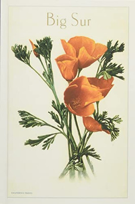 The Vintage Journal California Poppy, Big Sur (Pocket Sized - Found Image Press Journals)