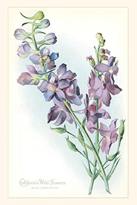 The Vintage Journal California Wildflowers, Larkspur (Pocket Sized - Found Image Press Journals)