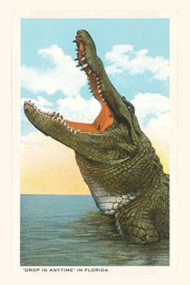 Vintage Journal Drop In Any Time, Alligator, Florida (Pocket Sized - Found Image Press Journals)