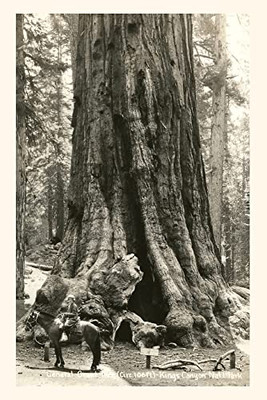 The Vintage Journal General Grant Sequoia, Kings Canyon National Park (Pocket Sized - Found Image Press Journals)