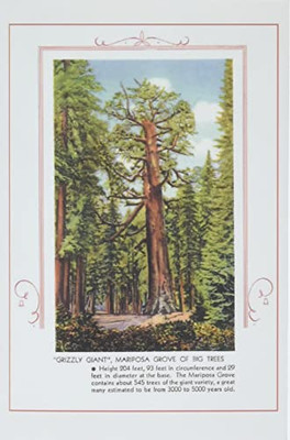 The Vintage Journal Grizzly Giant, Mariposa Big Trees (Pocket Sized - Found Image Press Journals)