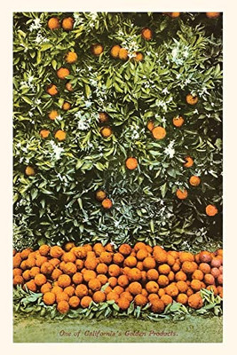 The Vintage Journal Orange Grove (Pocket Sized - Found Image Press Journals)