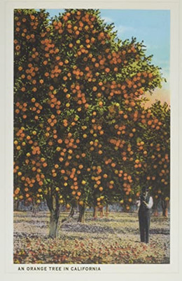 Vintage Journal Orange Grove (Pocket Sized - Found Image Press Journals)
