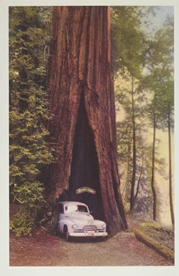 Vintage Journal Redwood And Old Car (Pocket Sized - Found Image Press Journals)