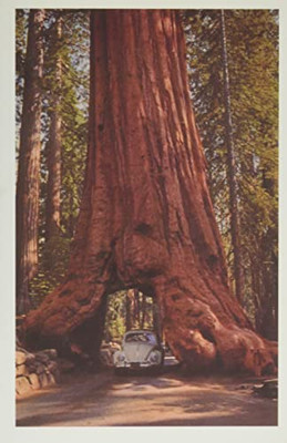 Vintage Journal Redwood And Volkswagen (Pocket Sized - Found Image Press Journals)