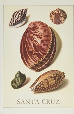 Vintage Journal Santa Cruz Shells (Pocket Sized - Found Image Press Journals)