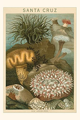 Vintage Journal Sea Anemones, Santa Cruz, California (Pocket Sized - Found Image Press Journals)