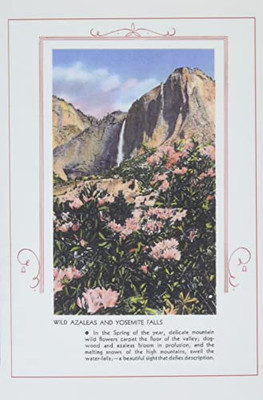 The Vintage Journal Wild Azaleas At Yosemite (Pocket Sized - Found Image Press Journals)