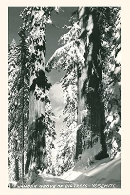 Vintage Journal Wawona Grove Of Big Trees, Yosemite (Pocket Sized - Found Image Press Journals)