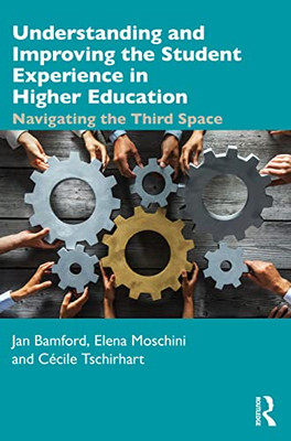Understanding And Improving The Student Experience In Higher Education: Navigating The Third Space