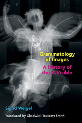 Grammatology Of Images: A History Of The A-Visible (Commonalities)