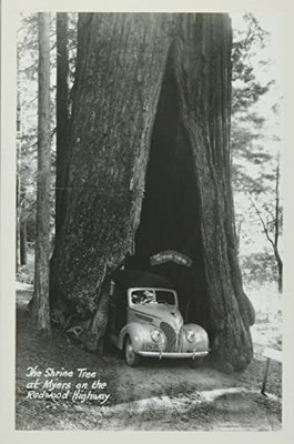 The Vintage Journal Car Driving Through Redwood (Pocket Sized - Found Image Press Journals)