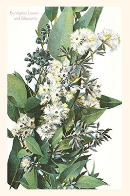 The Vintage Journal Eucalyptus Blossoms (Pocket Sized - Found Image Press Journals)