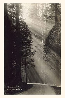 Vintage Journal Sunbeams And Redwoods (Pocket Sized - Found Image Press Journals)