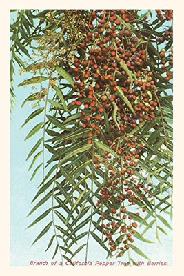 The Vintage Journal California Pepper Berries (Pocket Sized - Found Image Press Journals)