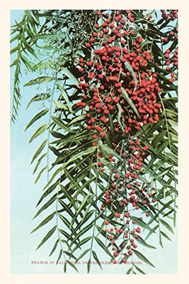The Vintage Journal California Pepper Berries (Pocket Sized - Found Image Press Journals)