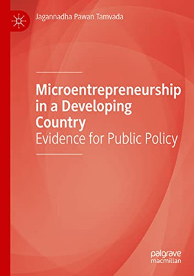 Microentrepreneurship In A Developing Country: Evidence For Public Policy