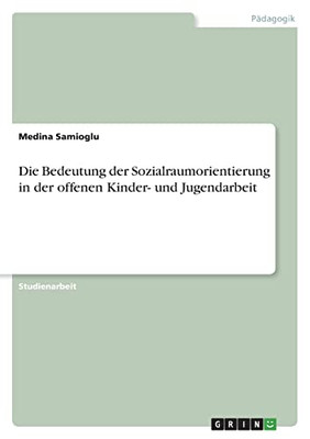 Die Bedeutung Der Sozialraumorientierung In Der Offenen Kinder- Und Jugendarbeit (German Edition)