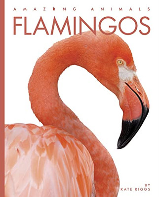 Flamingos (Amazing Animals)