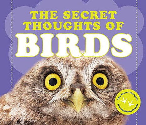 The Secret Thoughts Of Birds (Secret Thoughts Series)