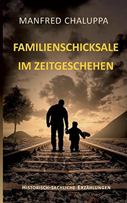 Familienschicksale Im Zeitgeschehen (German Edition)