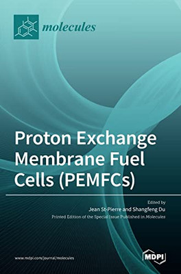 Proton Exchange Membrane Fuel Cells (Pemfcs)