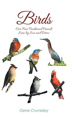 Birds: Our Fine Feathered Friends: Seen By Sue And Drew