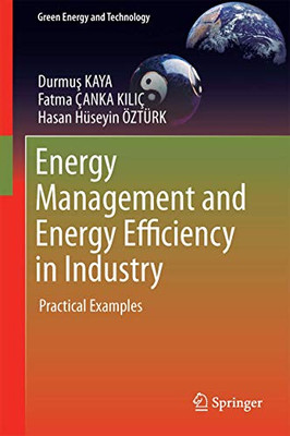 Energy Management and Energy Efficiency in Industry: Practical Examples (Green Energy and Technology)