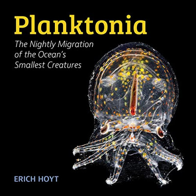 Planktonia: The Nightly Migration Of The Ocean's Smallest Creatures