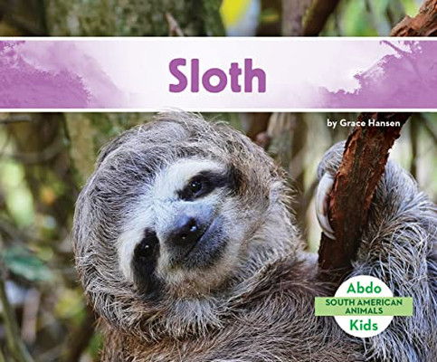 Sloth (South American Animals) Sloth (South American Animals)