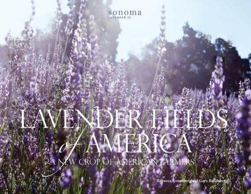 Lavender Fields Of America: A New Crop Of American Farmers